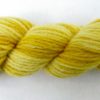 Golden Delicious Woolpaca Semi-Solid - Image 2
