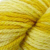 Golden Delicious Woolpaca Semi-Solid