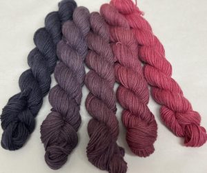 Purple Pizzaz Woolpaca Gradient Set