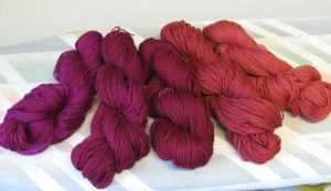 Raspberry Rouge Woolpaca Gradient Set - Image 4