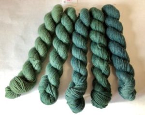Groovy Green Woolpaca Gradient Set
