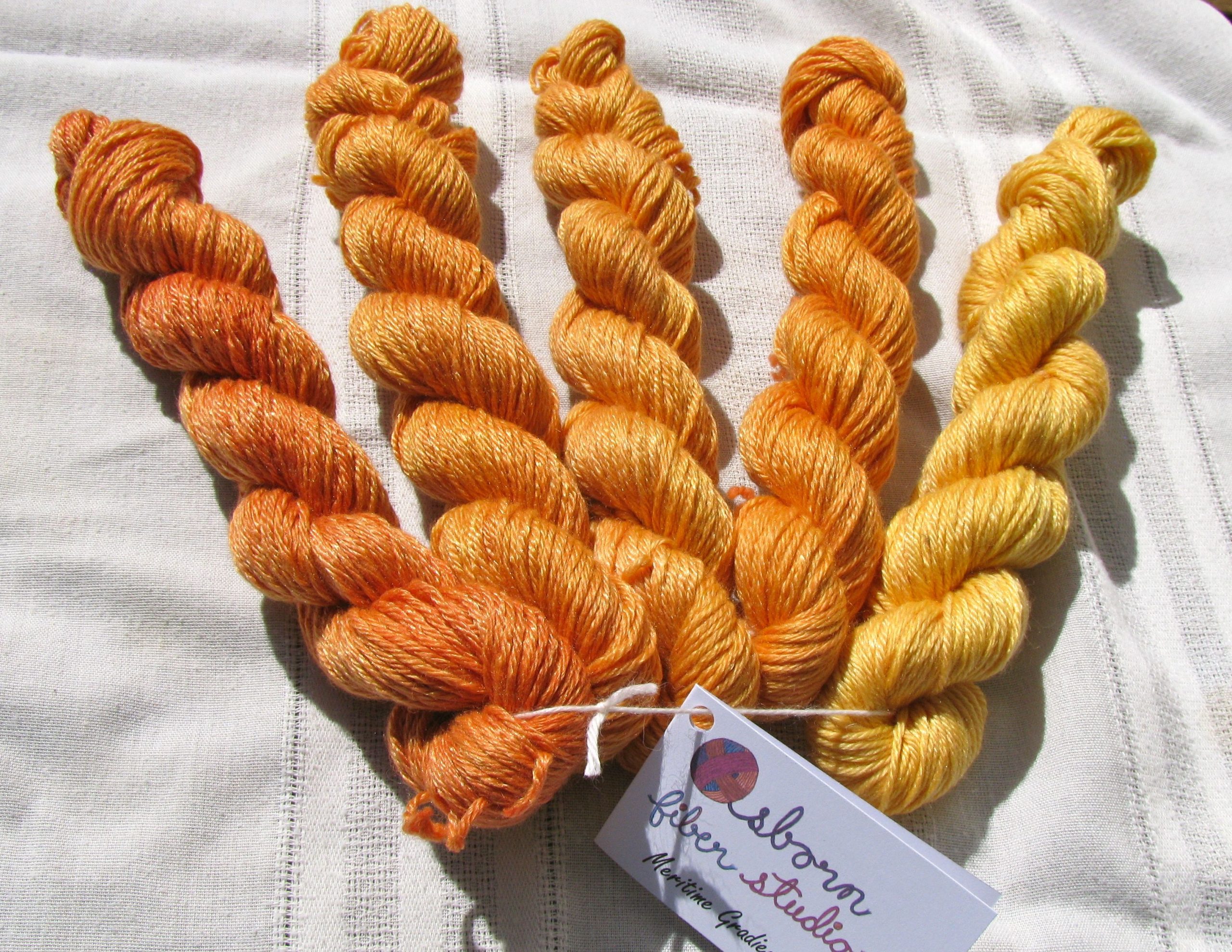 Dye with Roots and Bugs: Oranges, Reds, and Pinks - Image 5