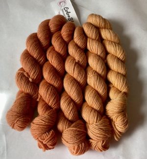 Peach Orchard Woolpaca Gradient Set