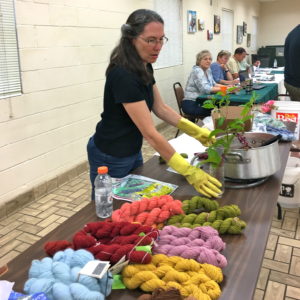 natural dye seminar