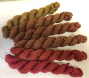 Redwood Fingering Gradient Set