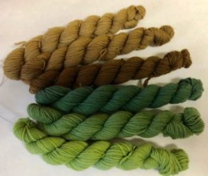 Green Willow Fingering Gradient Set