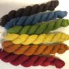 Crazy Crayons Fingering Gradient Set
