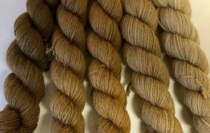 Black Walnut Brown Woolpaca Gradient Set - Image 2