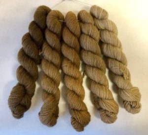 Black Walnut Brown Woolpaca Gradient Set