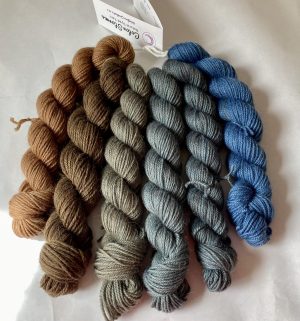 Blue Husk Woolpaca Gradient