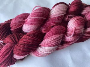 Raspberry Rouge Playful Pairs Plus