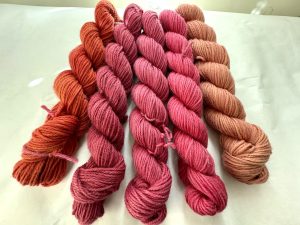 Tangelo Woolpaca Gradient Set
