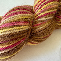 Desert Flowers Woolpaca Multi-Colored