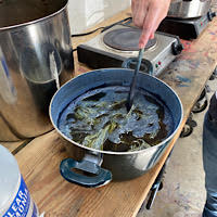 Dye Classes
