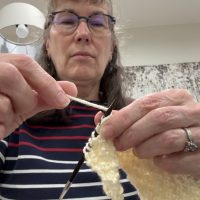Learn to Knit and Purl, Cast On, Increase and Decrease