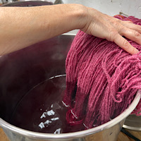 Dye with Roots and Bugs: Oranges, Reds, and Pinks