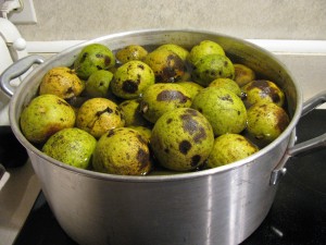 black walnuts simmering